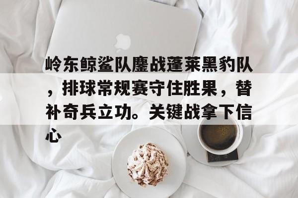 岭东鲸鲨队鏖战蓬莱黑豹队，排球常规赛守住胜果，替补奇兵立功。关键战拿下信心的简单介绍